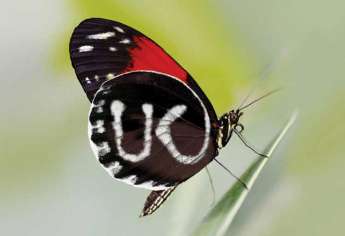 Salon des Etudes Supérieures au Royaume-Uni 2017