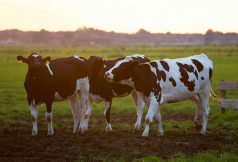 مباراة تكوين تقنيين فلاحيين في شعبة الإنتاج الفلاحي بالمعهد التقني الفلاحي بتيفلت 2024-2025