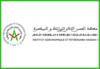 Concours d'accès à l'APESA (IAV Rabat) 2025-2026