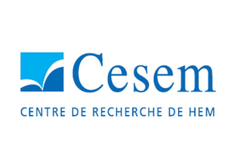 CESEM CENTRE DE RECHERCHE DE HEM - Vers l’égalité économique Homme-femme ?