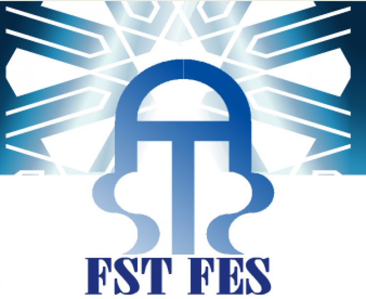 Appel à candidature aux Masters Sciences et Techniques à la FST Fès 2014