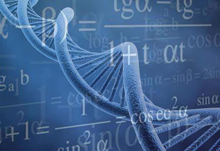 مباراة ولوج الدرك الملكي بصفة تلاميذ دركيين متخصصين بالمختبر الجيني للدرك الملكي 2017