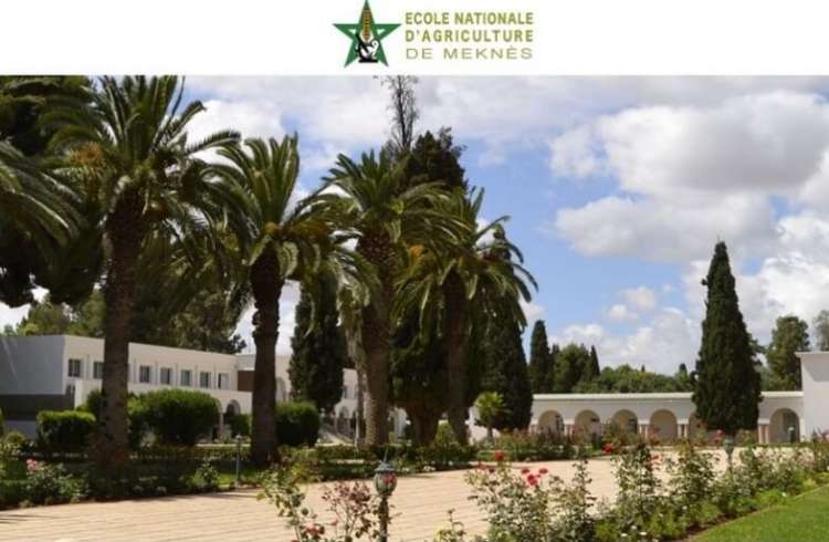 Résultats de présélection et seuil concours ENAM 2017