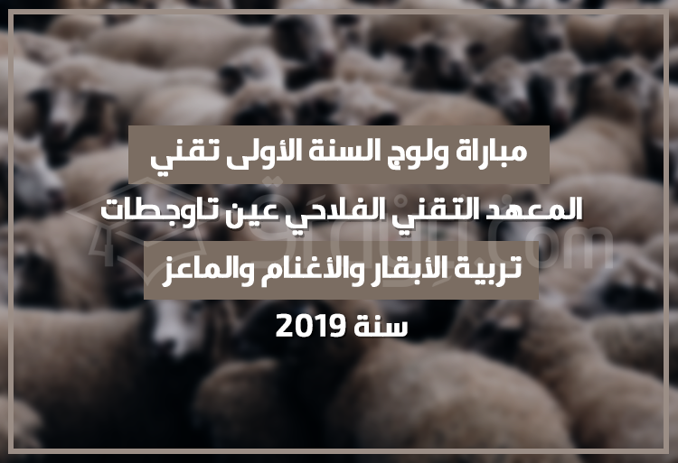 مباراة ولوج السنة الأولى تقني في شعبة تربية الأبقار والأغنام والماعز بالمعهد التقني الفلاحي عين تاوجطات 2019