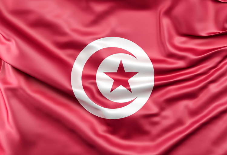 Bourses d'études au premier cycle en Tunisie 2021-2022