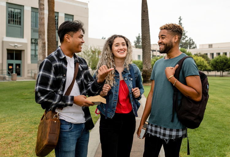 الآفاق الدراسية ما بعد البكالوريا علوم اقتصادية