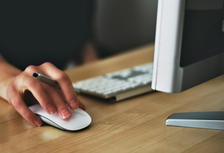 إصدار دليل المترشح(ة) لامتحانات نيل شهادة البكالوريا دورة 2024